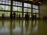 Tn Bild (36)